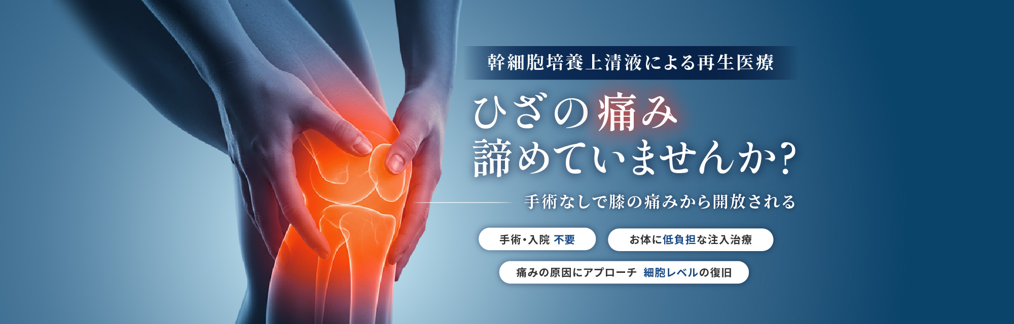ひざ関節治療でお悩みの方へ